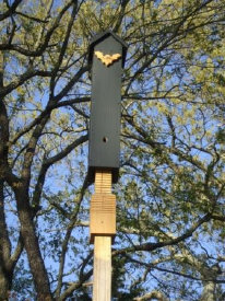 rocket bat house white cedar