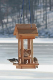 bird feeder white cedar