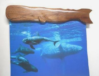 black walnut sperm whale calendar holder